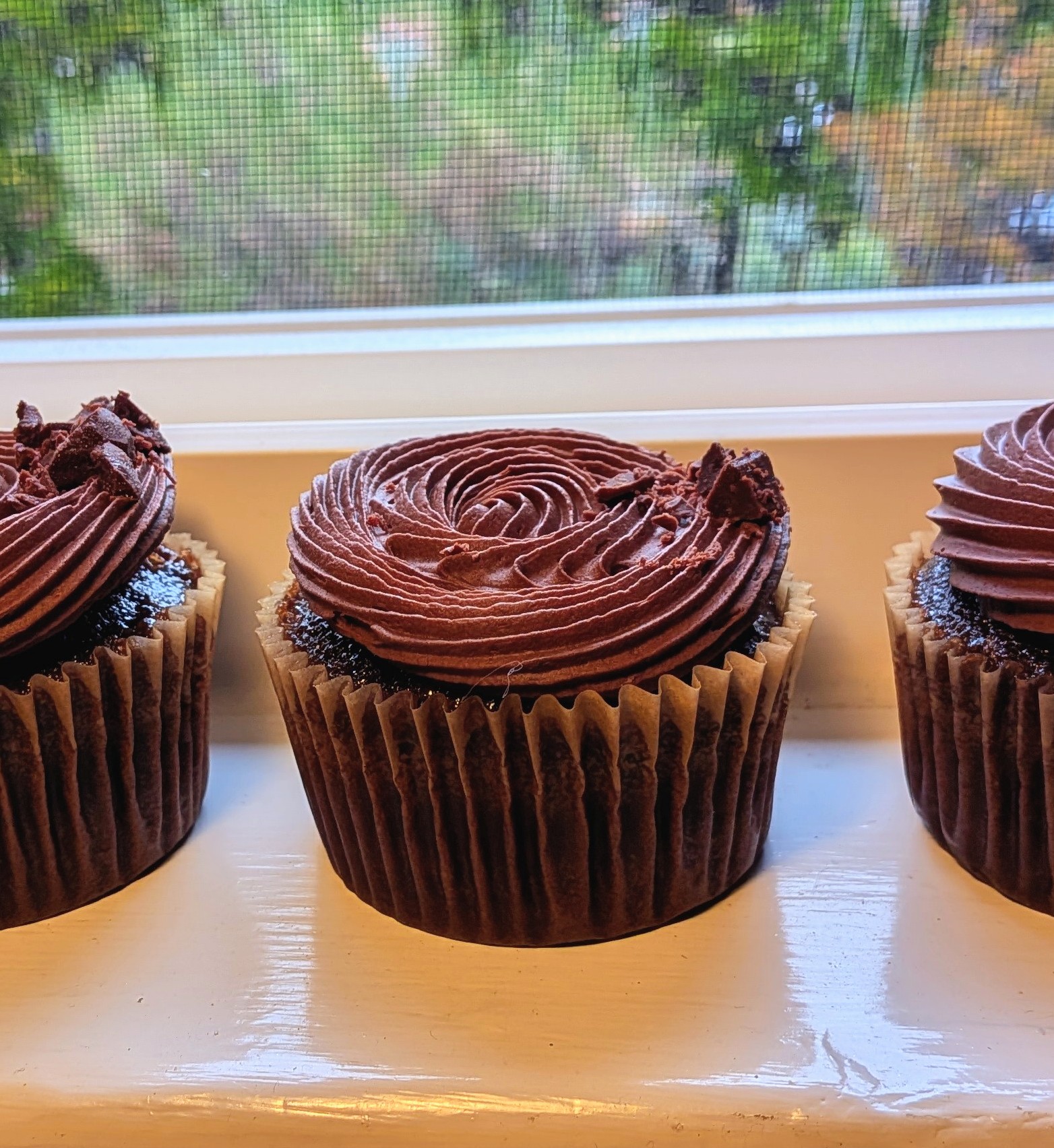Picture of chocolate cupcakes