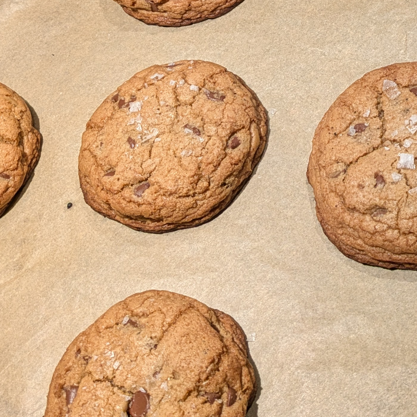 Picture of chocolate chip cookies on baking sheet